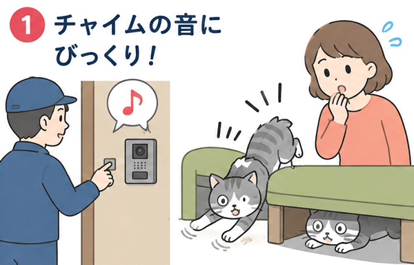 ペットを驚かせることなくスムーズに宅配便の来客に対応できた飼い主のイラスト